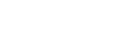 QSI